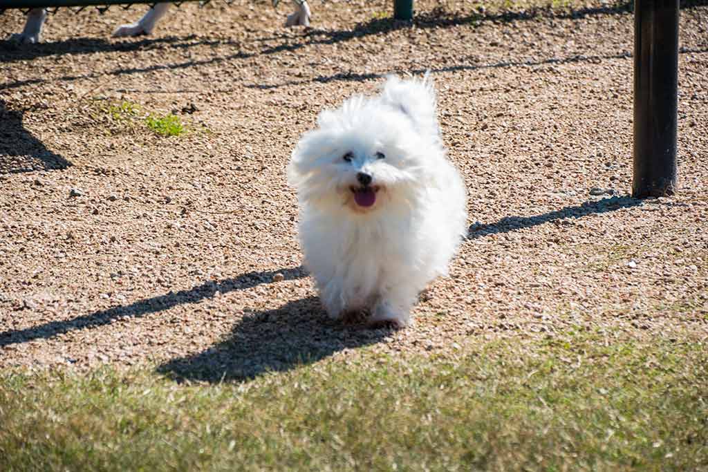Kitty Hollow Park 13.jpg