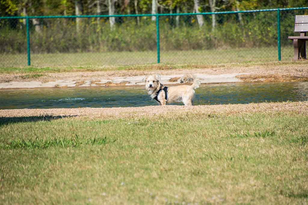 Kitty Hollow Park 7.jpg
