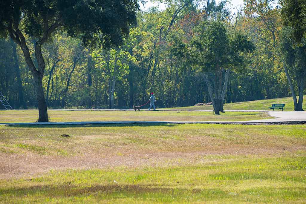 Kitty Hollow Park_0.jpg