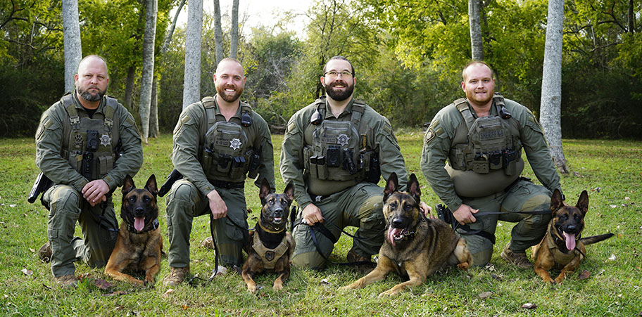K9 Group Kneeling