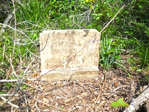Cartwright-McCrary Cemetery (Headstone) | FB-C040