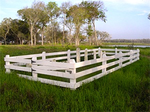 Wheat Family Cemetery | FB-C081