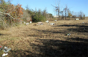 Bains Family Cemetery | FB-C032