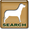 Search Dogs