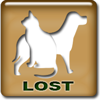 Lost Pet