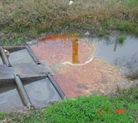 Dumping in Waters, Streams, Lakes or ponds