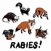 rabies animals