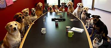 dogs around conference room table