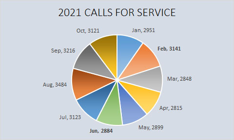 2021 Calls for service