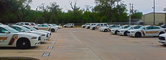 Fleet Management Division