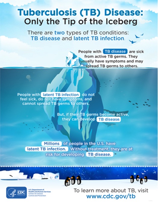 Tuberculosis (TB) Disease: Only the Tip of the Iceberg