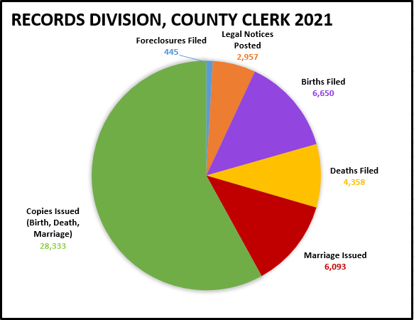 Records Division County Clerk 2021 Pie Chart