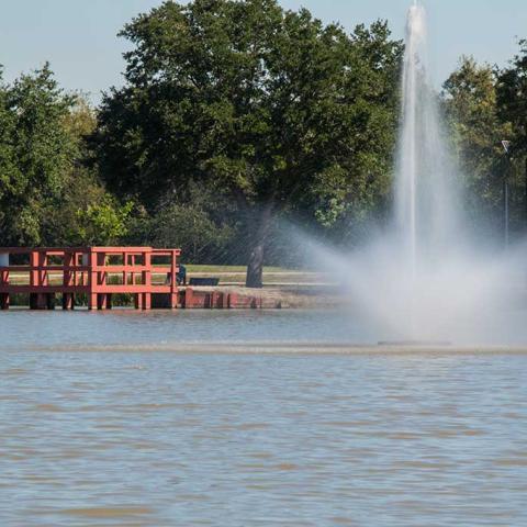 Kitty Hollow Park