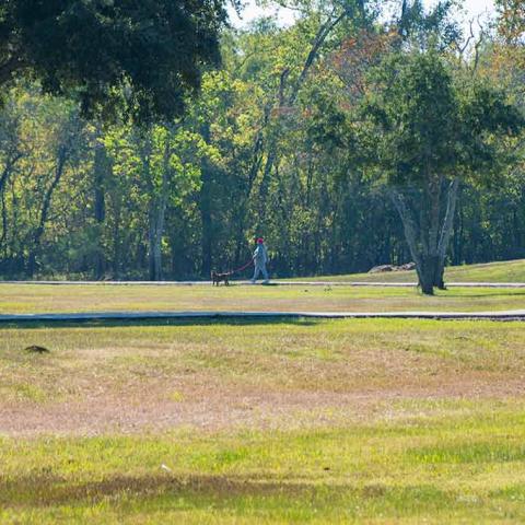 Kitty Hollow Park
