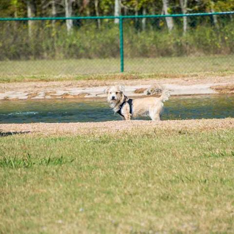 Kitty Hollow Park 7.jpg