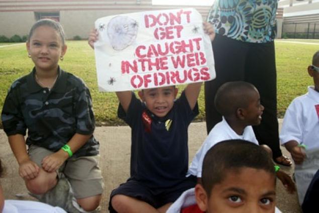 Don't Get Caight in the Web of Drugs