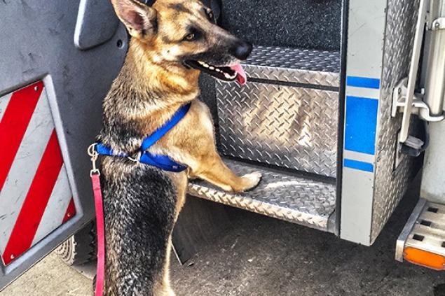 King inspecting an ambulance.