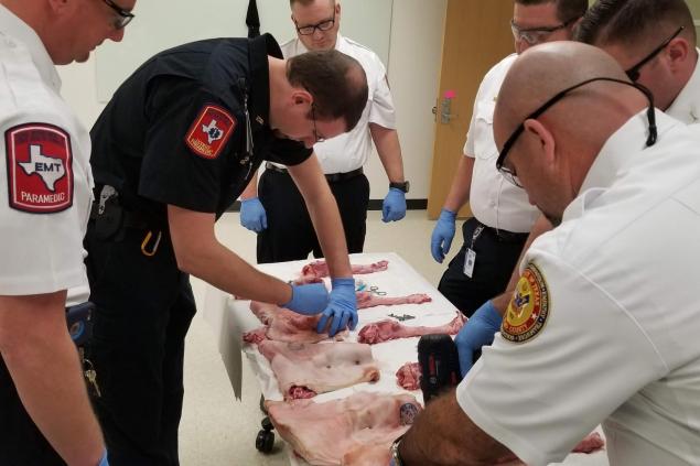 Surgical Airway Training Photo 6 Employees training in self-defense
