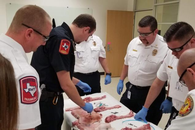 Surgical Airway Training Photo 7 Employees training in self-defense