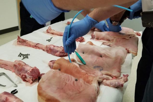 Surgical Airway Training Photo 8 Employees training in self-defense