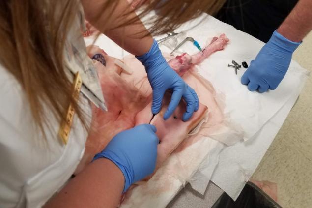 Surgical Airway Training Photo 9 Employees training in self-defense